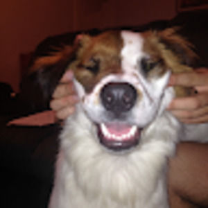 Meet your Posher, Clay